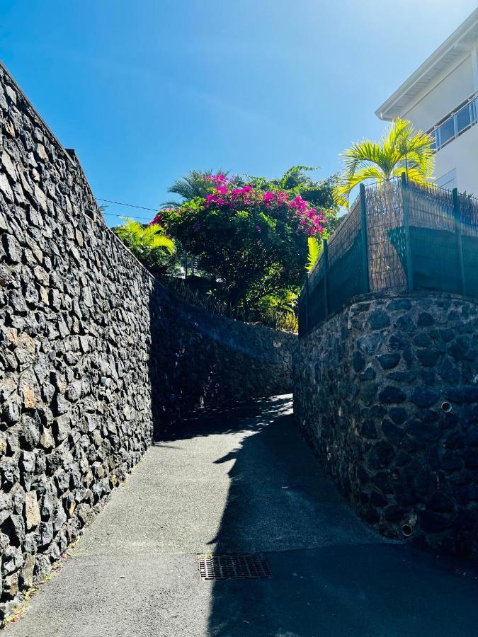 Appart. Avec Grande Terrasse Vue Ocean Apartment Saint-Gilles-les Bains Exterior foto